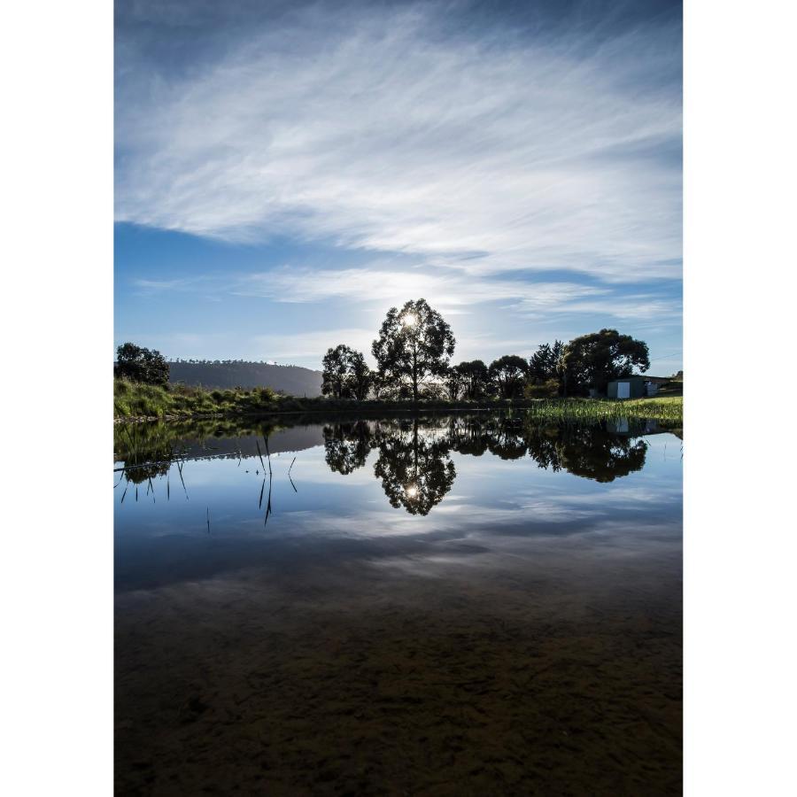 Charles Reuben Estate Guest House โฮบาร์ต ภายนอก รูปภาพ
